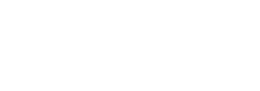 Leo Market King